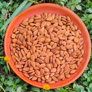 কাঠ বাদাম / Raw Almond ১kg